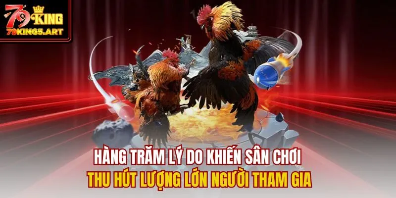 Đá Gà 79KING- Đỉnh Cao Giải Trí Cùng Kê Chiến Cực Chiến