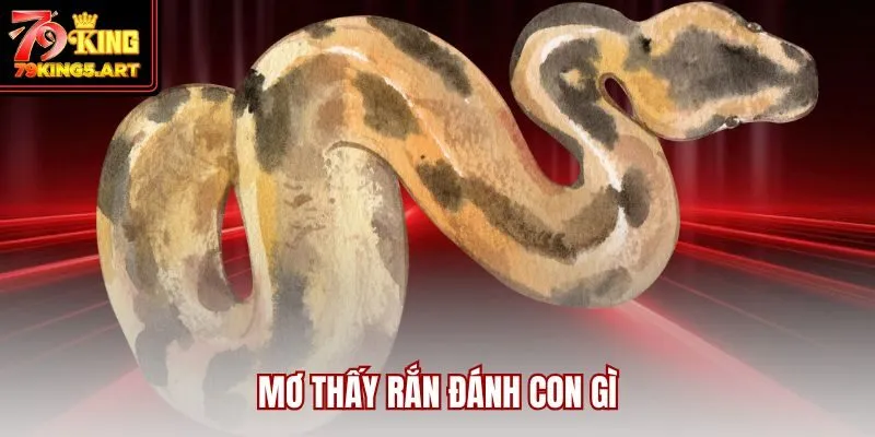 Mơ Thấy Rắn Đánh Con Gì? Ý Nghĩa Và Con Số May Mắn Nhất